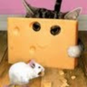 Meet your Posher, Matthew